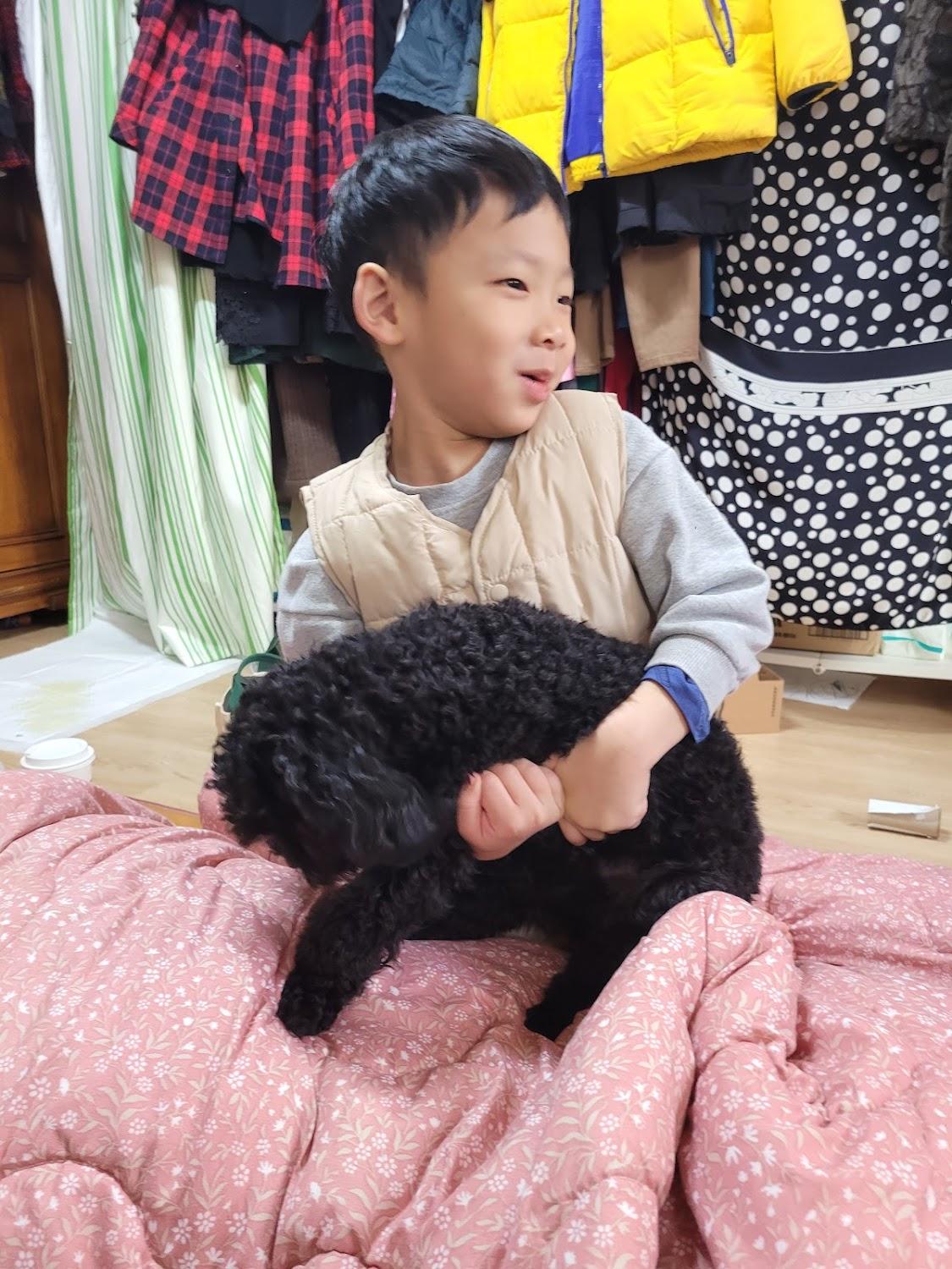 Cover Image for 신림 THE MAY