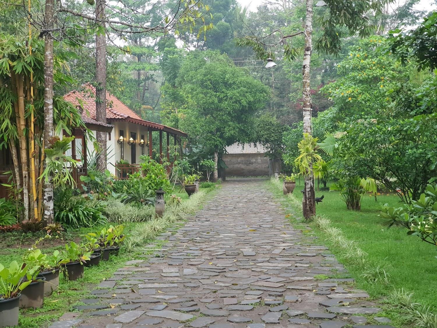 Cover Image for Ndalem Nitihardjan Guesthouse