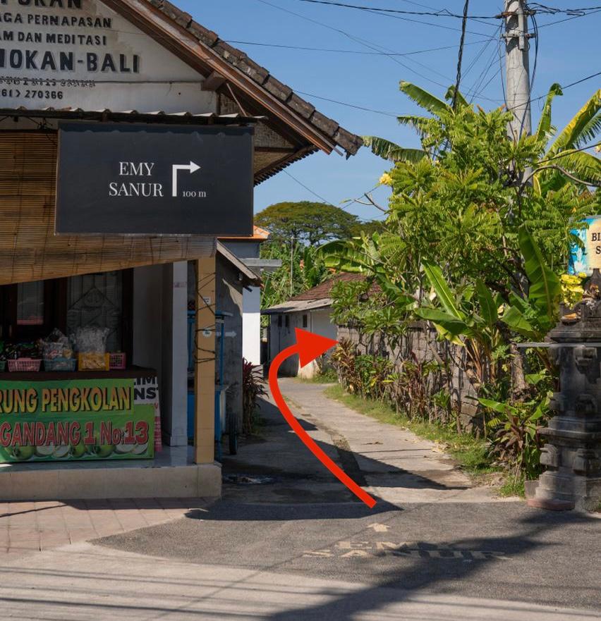 Cover Image for Emy Sanur