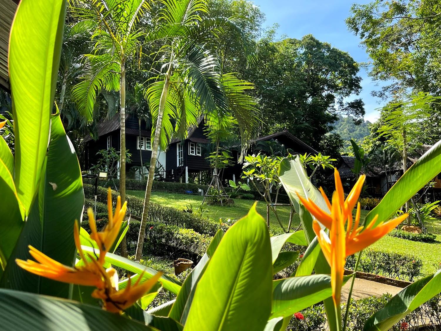 Cover Image for Vanara Bungalows & Restaurant