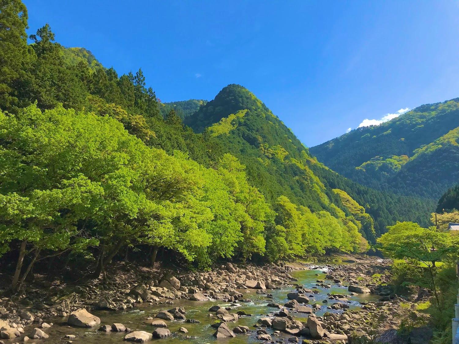 Cover Image for 紅葉亭