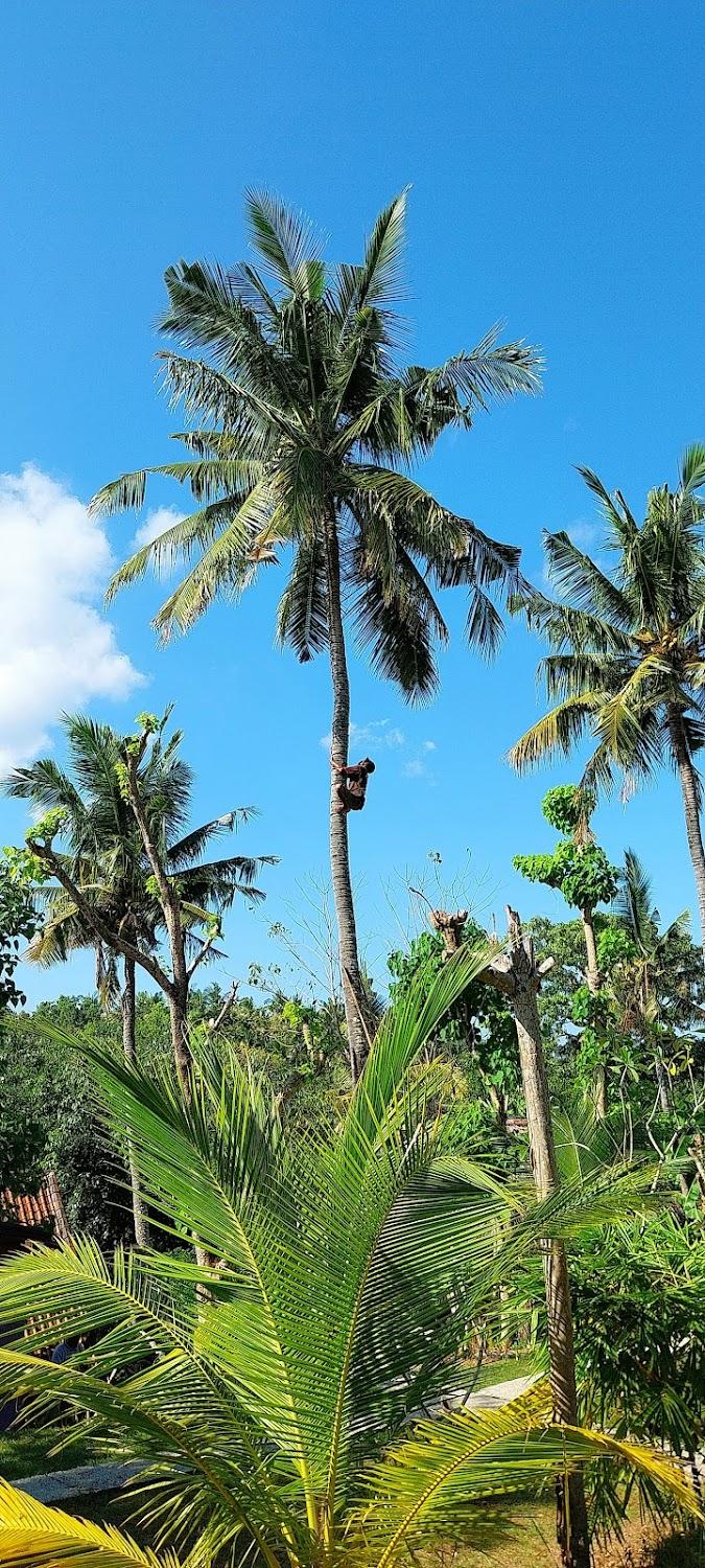 Cover Image for Namaste Bungalows
