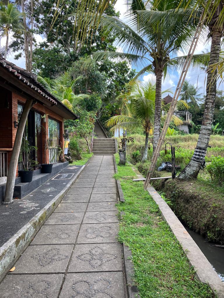 Cover Image for Yeh Pulu Guesthouse
