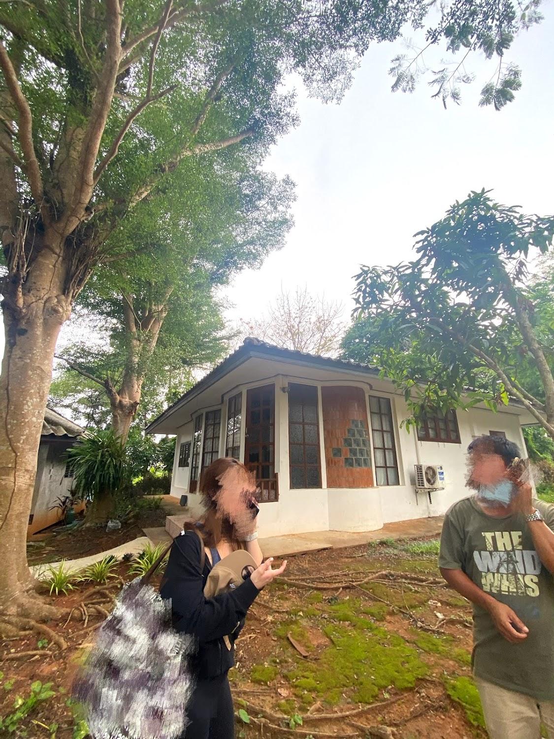 Cover Image for Corner House