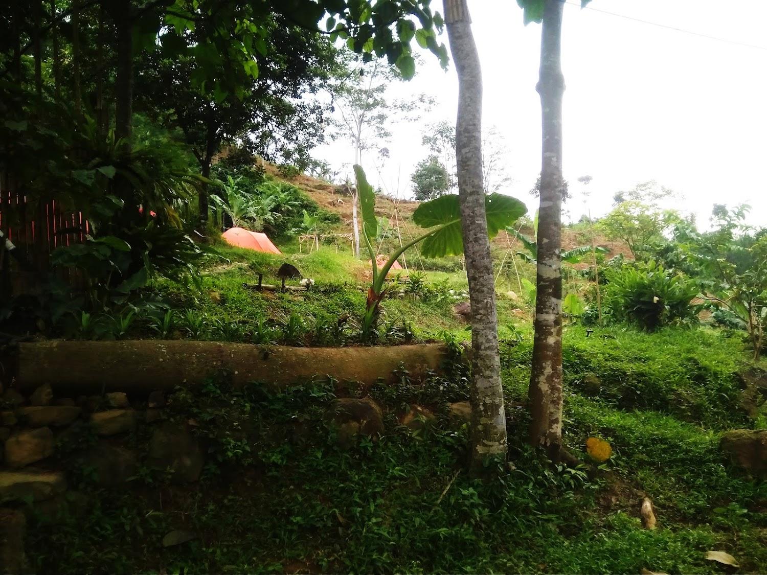 Cover Image for Goes Camp