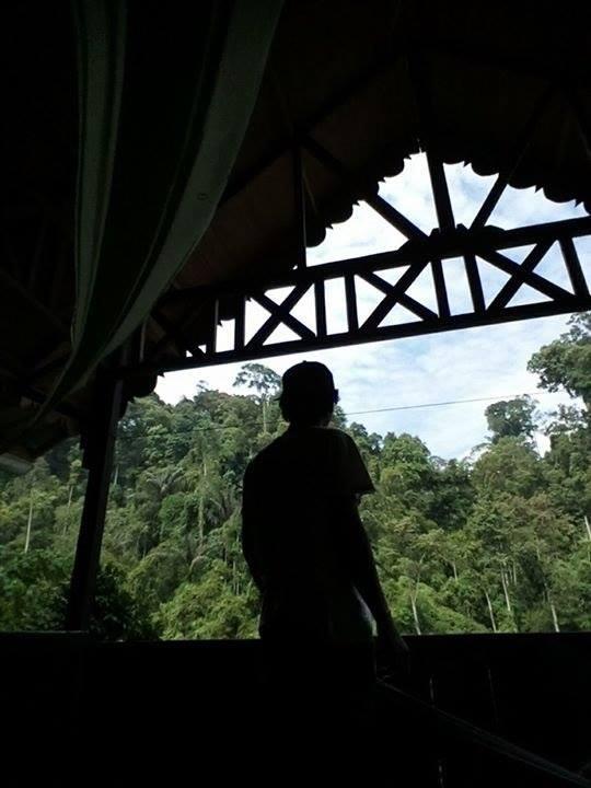 Cover Image for Green Hill Guest House & Eco Trekking.