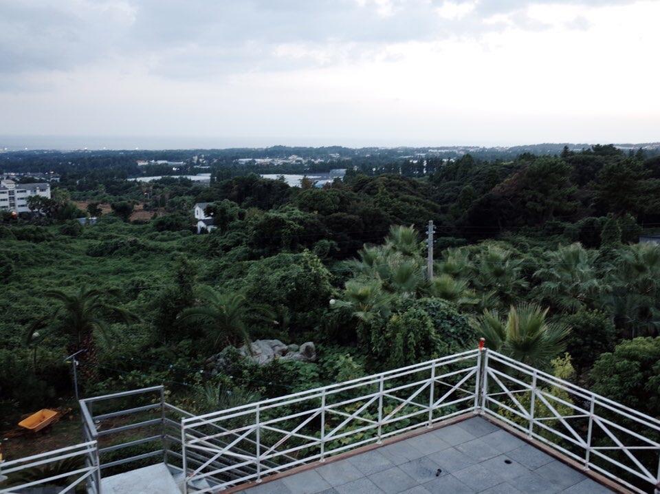 Cover Image for 메모리펜션 (Memory in Jeju)