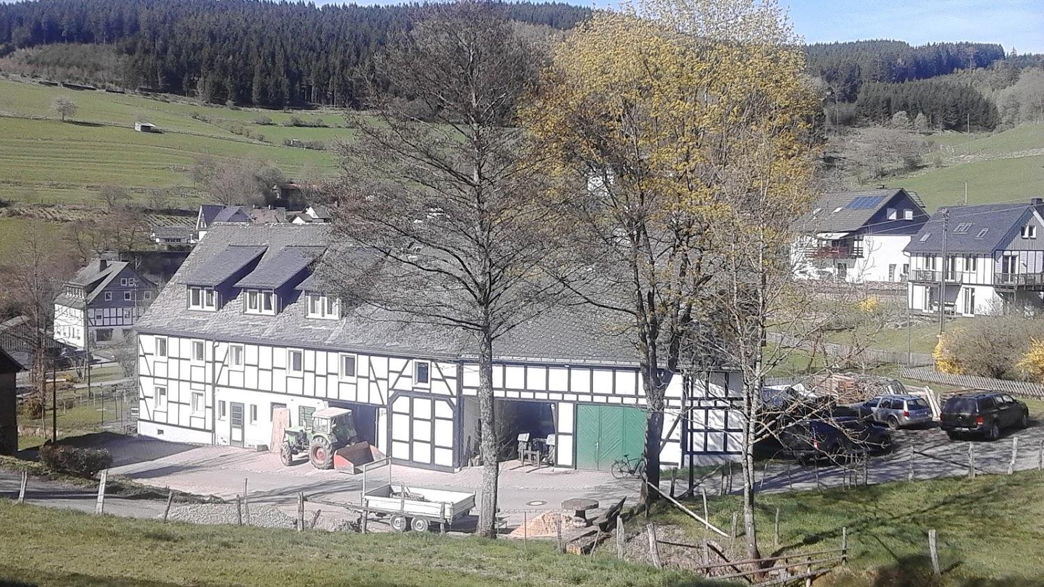 Cover Image for Dümpelmanns Hof
