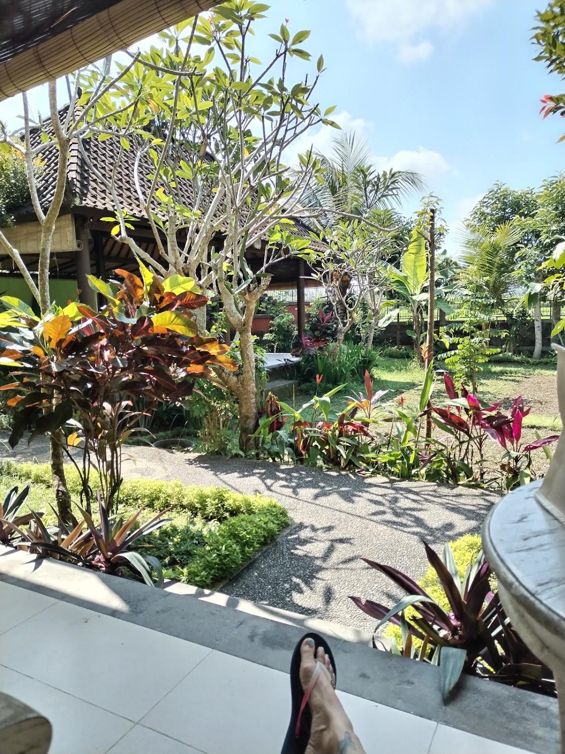 Cover Image for Demank Hidden Guesthouse