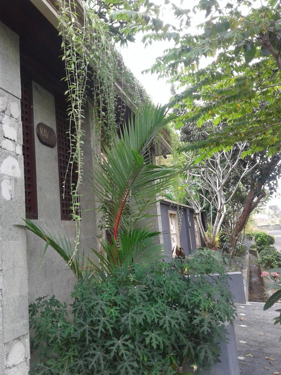 Cover Image for Waru Villa
