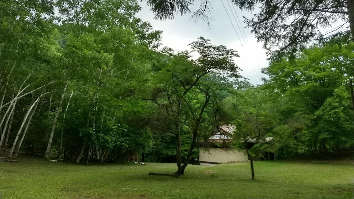 Cover Image for Arakura Camping Ground
