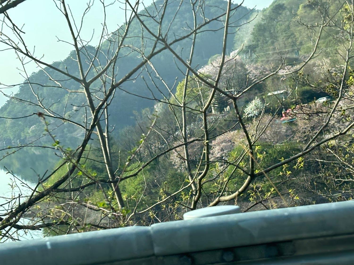 Cover Image for Jecheon Hobanro Unshared House Pension