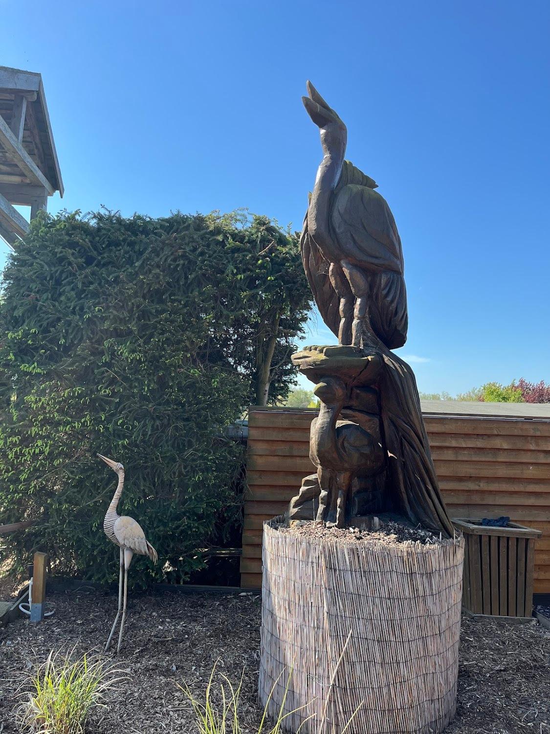 Cover Image for Naturcamp "Zu den 2 Birken"