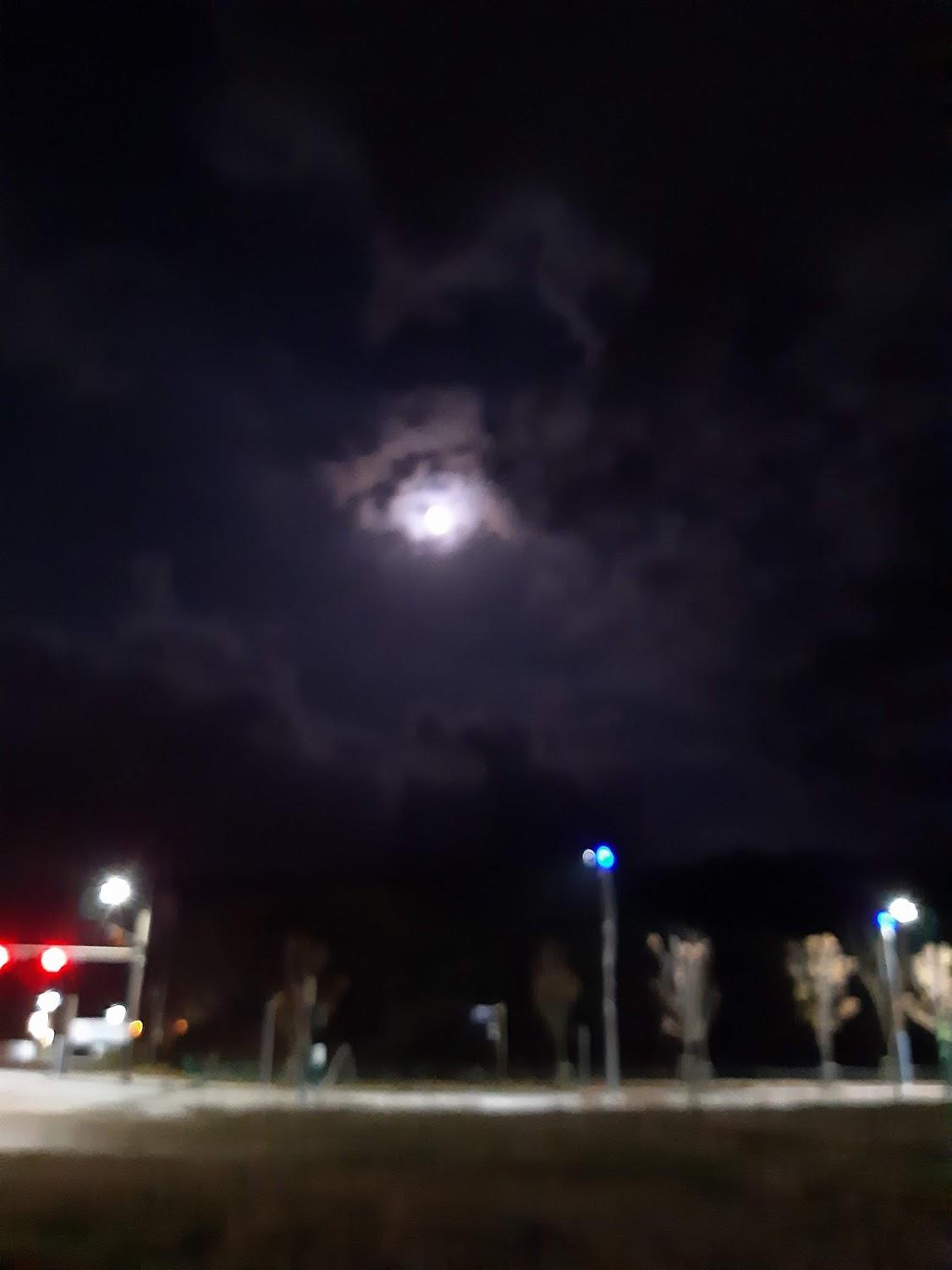 Cover Image for 코지코브호텔