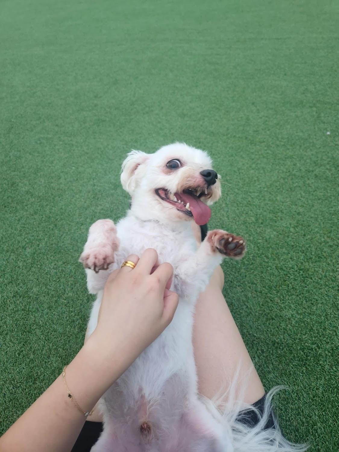 Cover Image for 뽀아하우스
