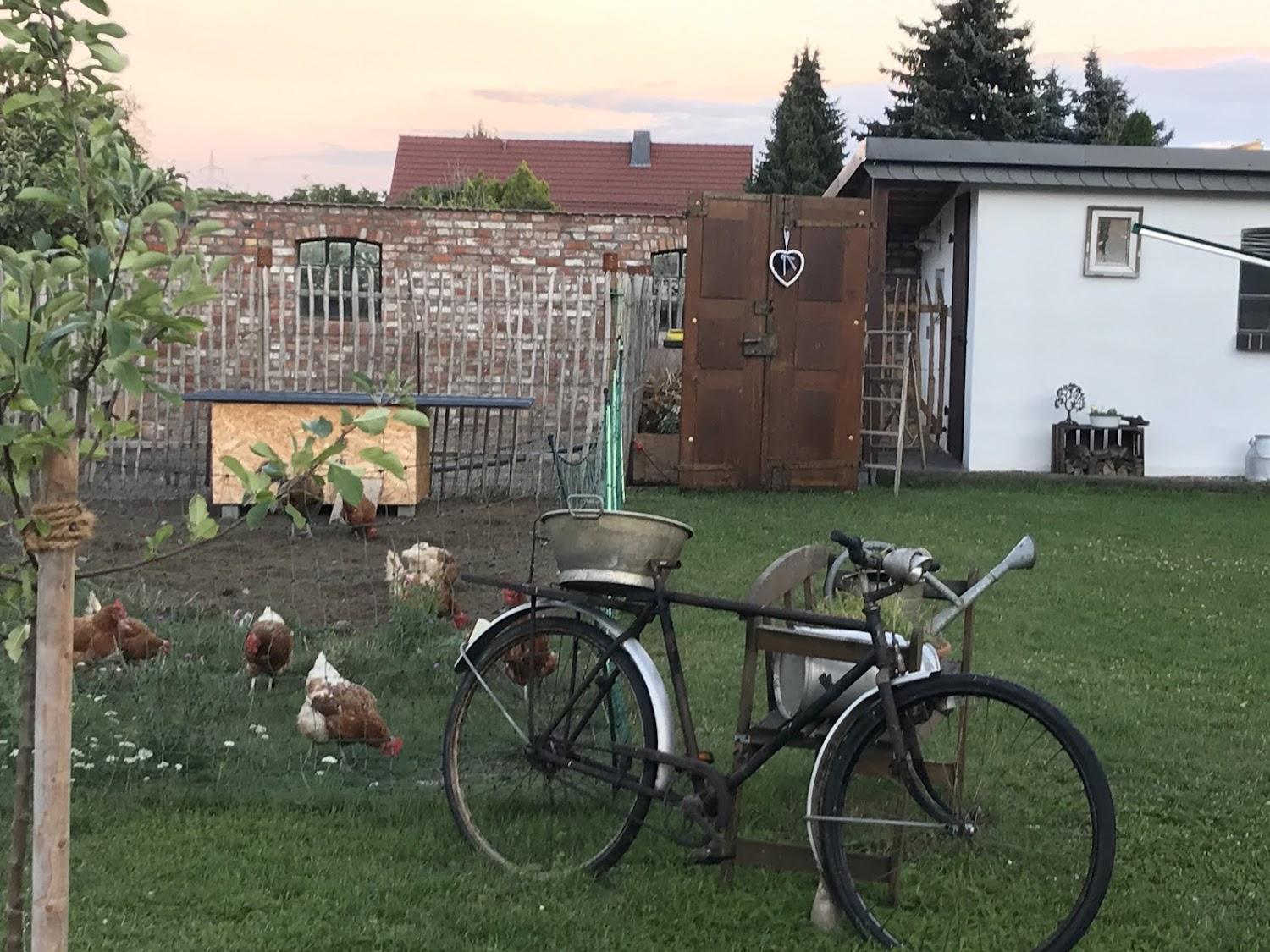 Cover Image for Pension Landhaus an der Saale