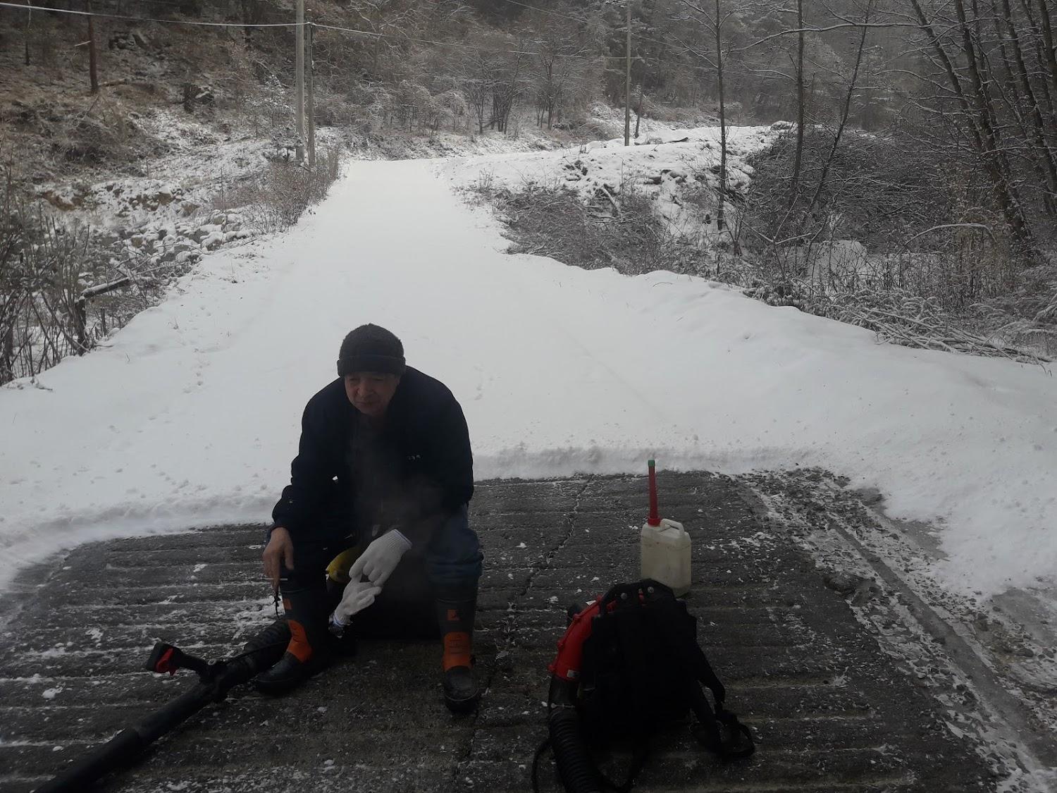 Cover Image for 올리브그린