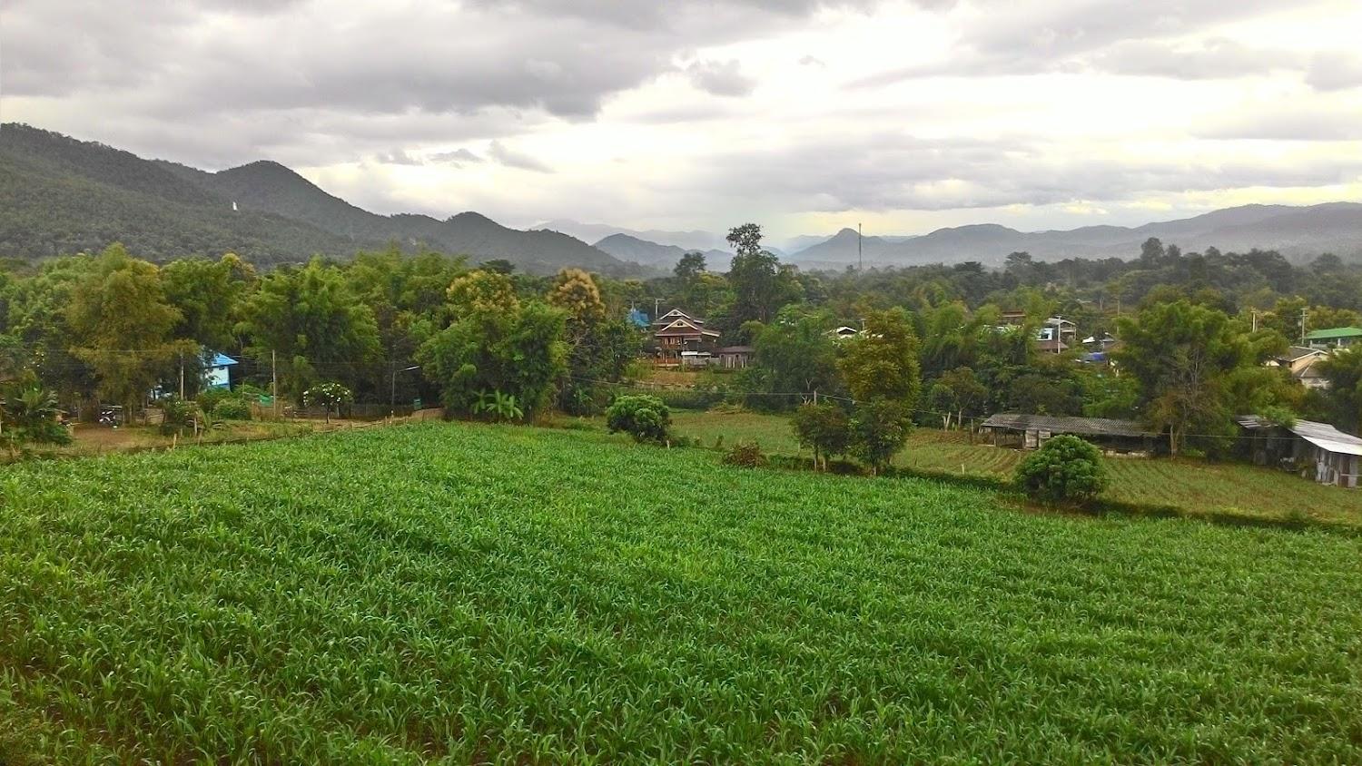Cover Image for Cheewa Cottage