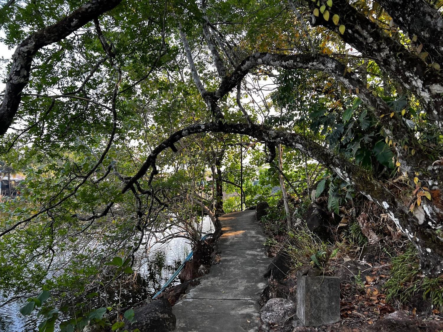 Cover Image for Chaipura Resort