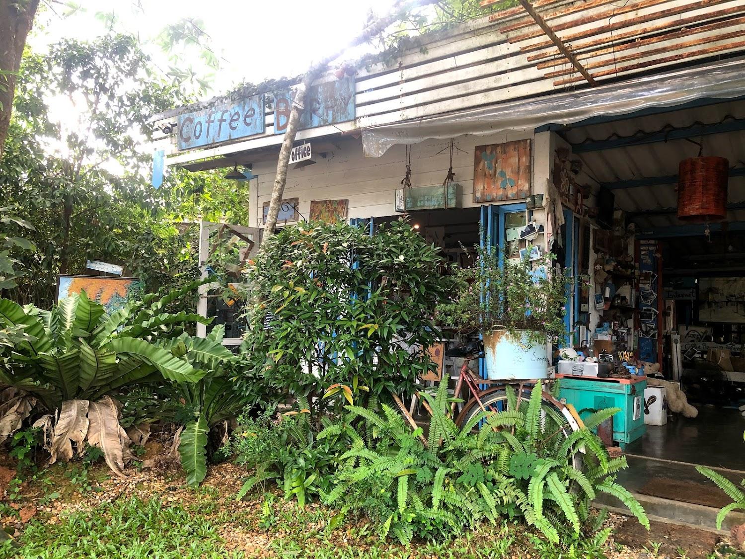 Cover Image for Coffee Berry Sangklaburi