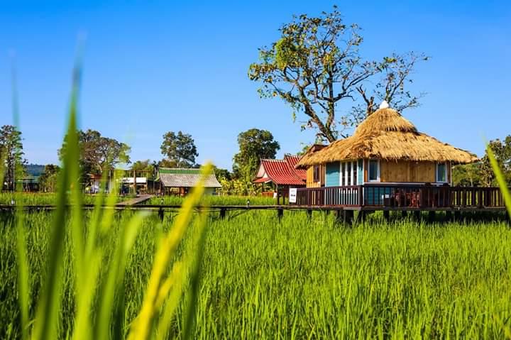Cover Image for นอนนา@เมืองภู