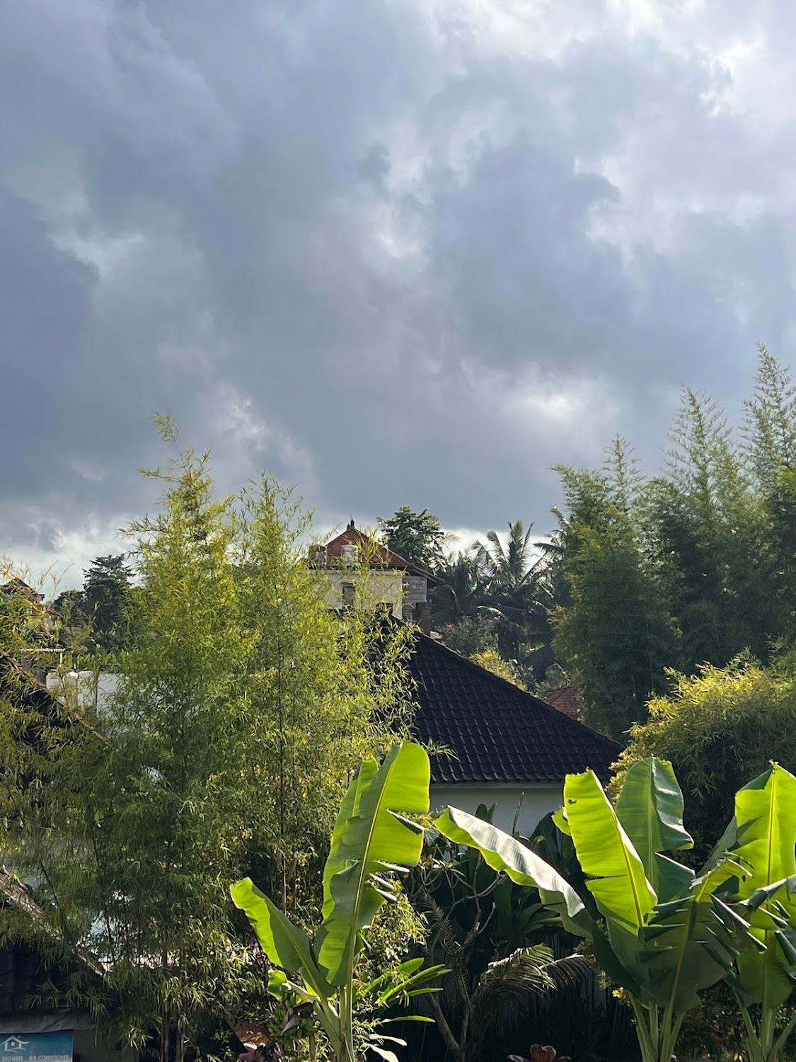 Cover Image for Pillow Inn Ubud