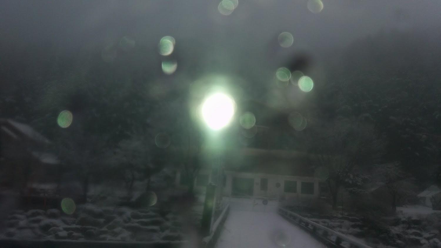 Cover Image for 파인밸리