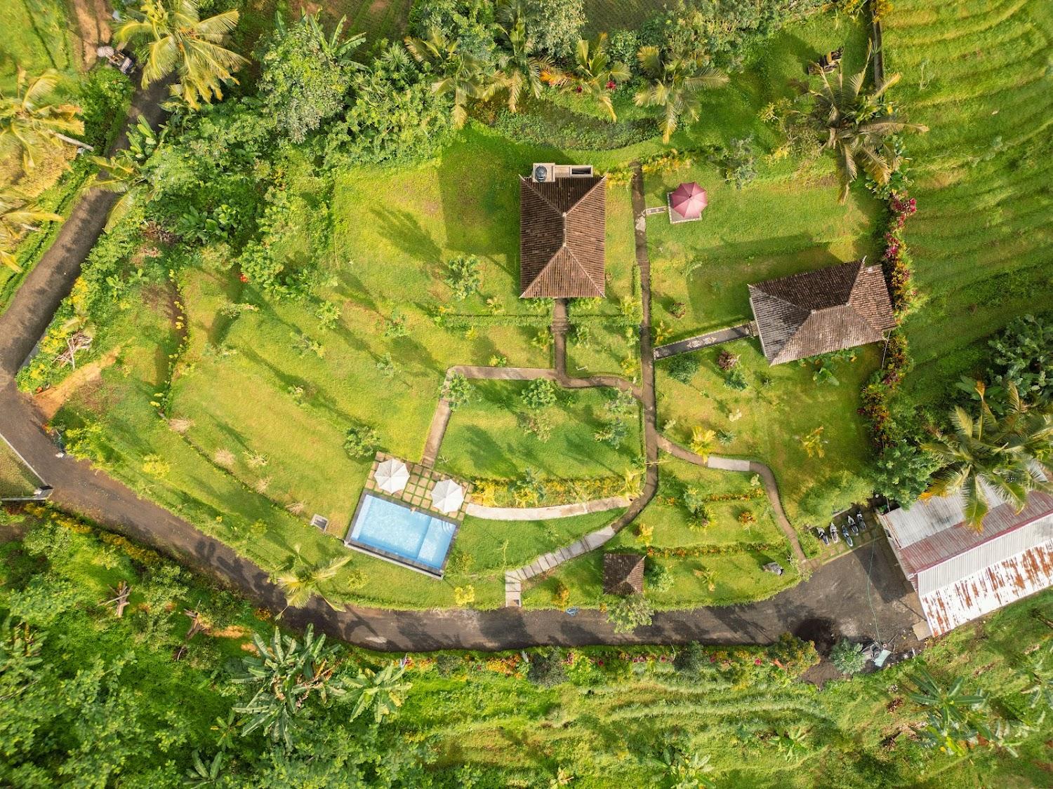 Cover Image for Papahan Bali