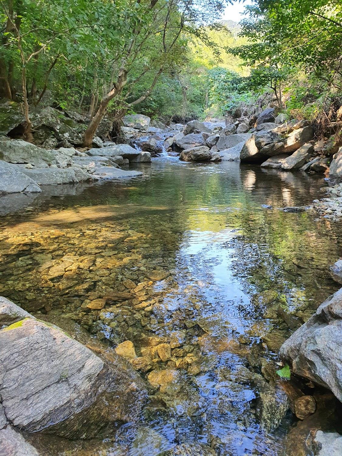 Cover Image for 메모리아