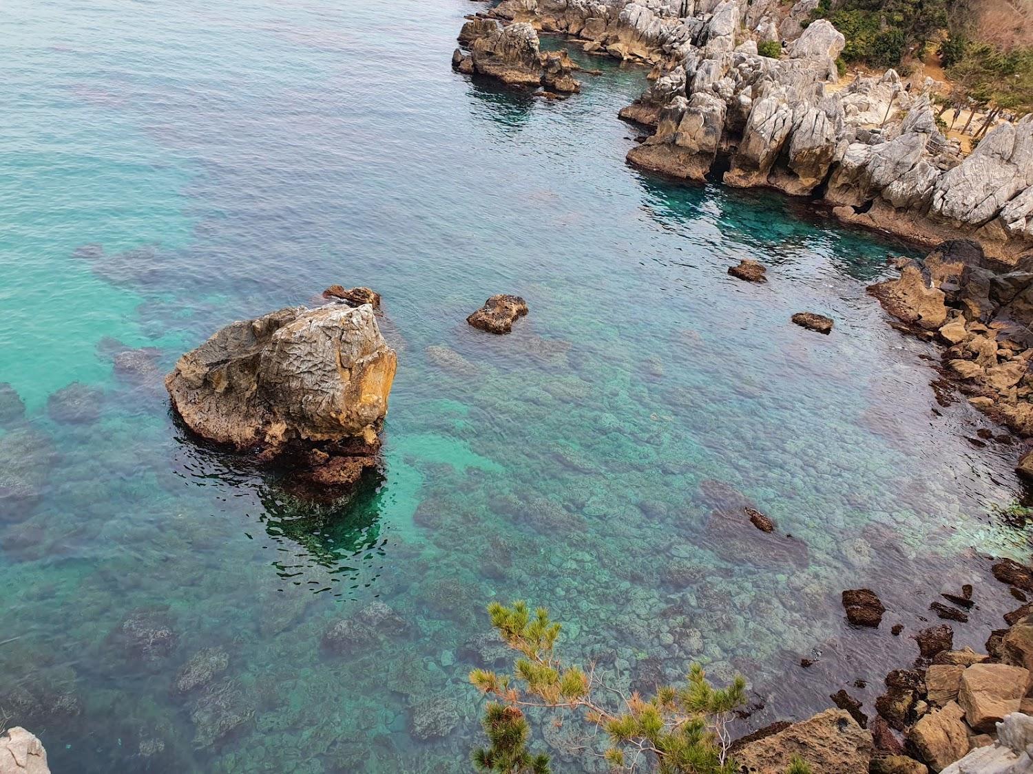 Cover Image for 동해비치호텔