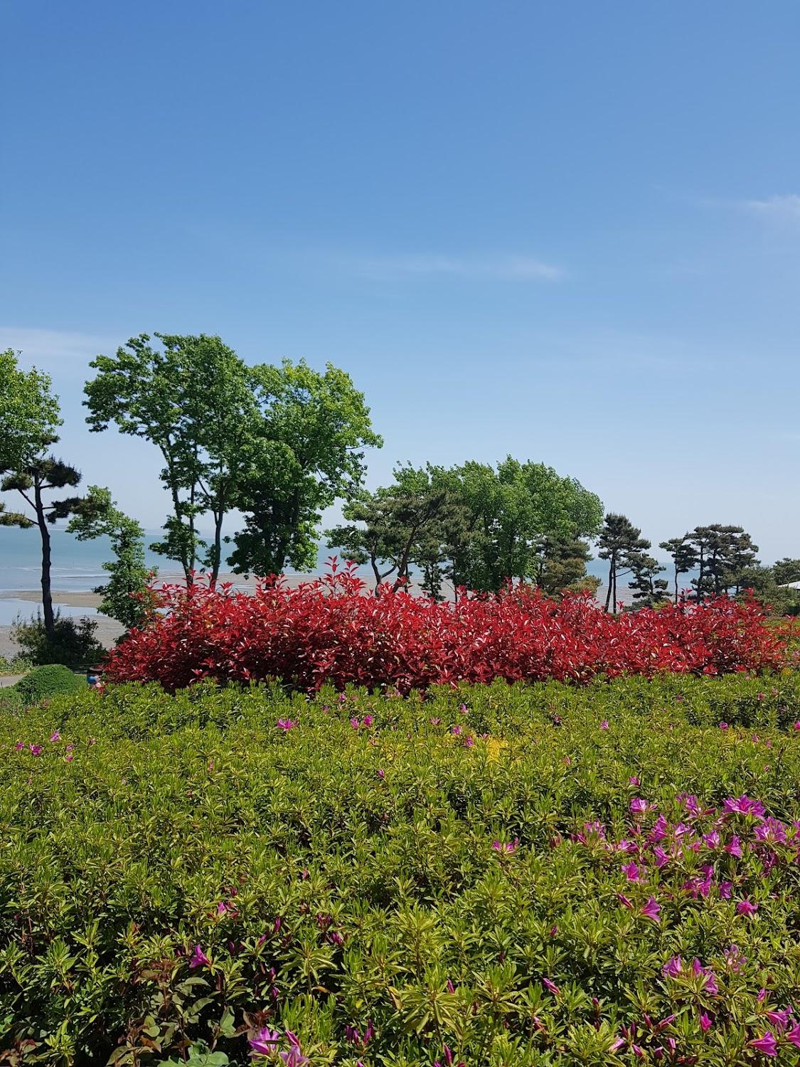 Cover Image for Namunjae