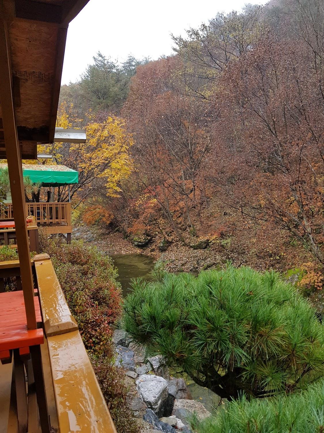 Cover Image for 산수화