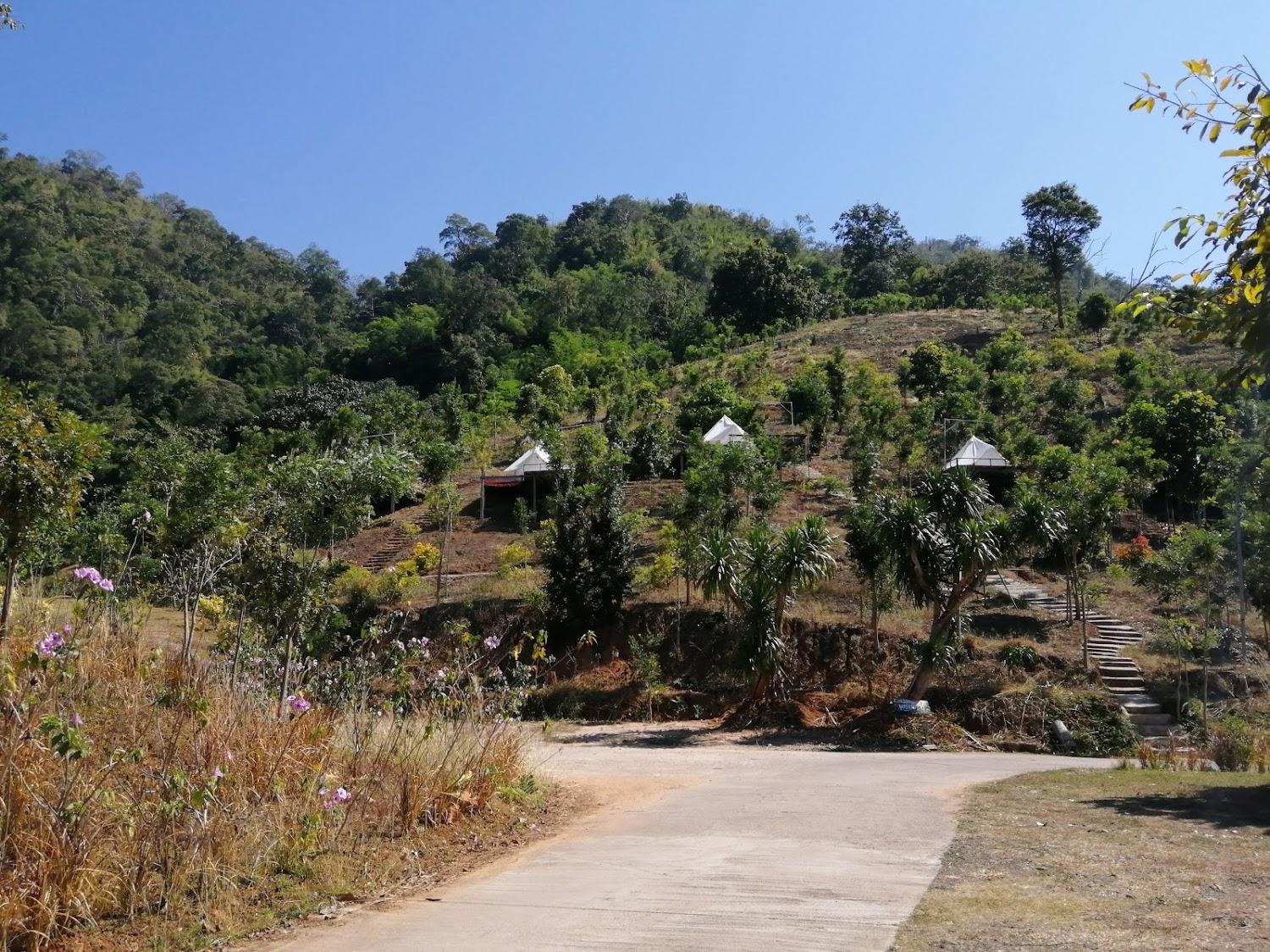 Cover Image for View Doi Coffee Home