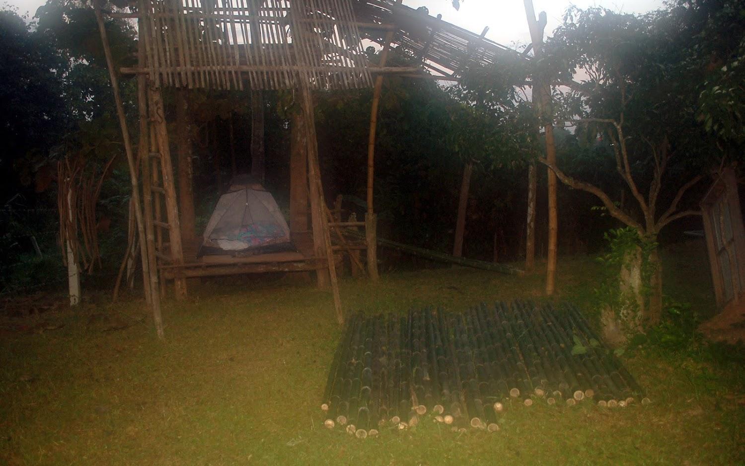 Cover Image for Amando_tent