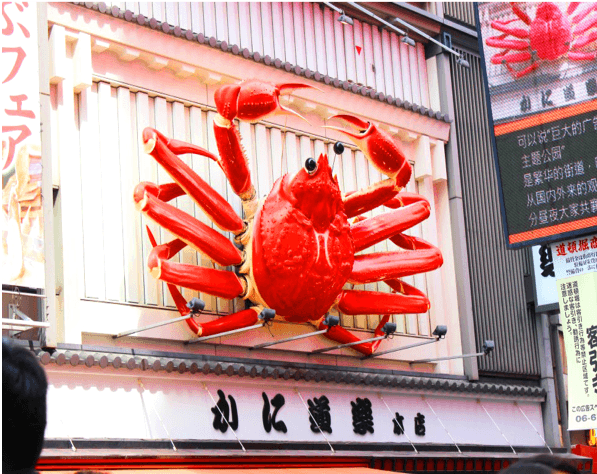 Cover Image for OYO 644 Hotel Art Inn Namba