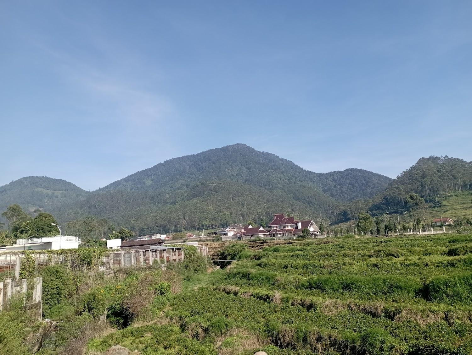 Cover Image for Villa ciwidey Alkasturi cottage