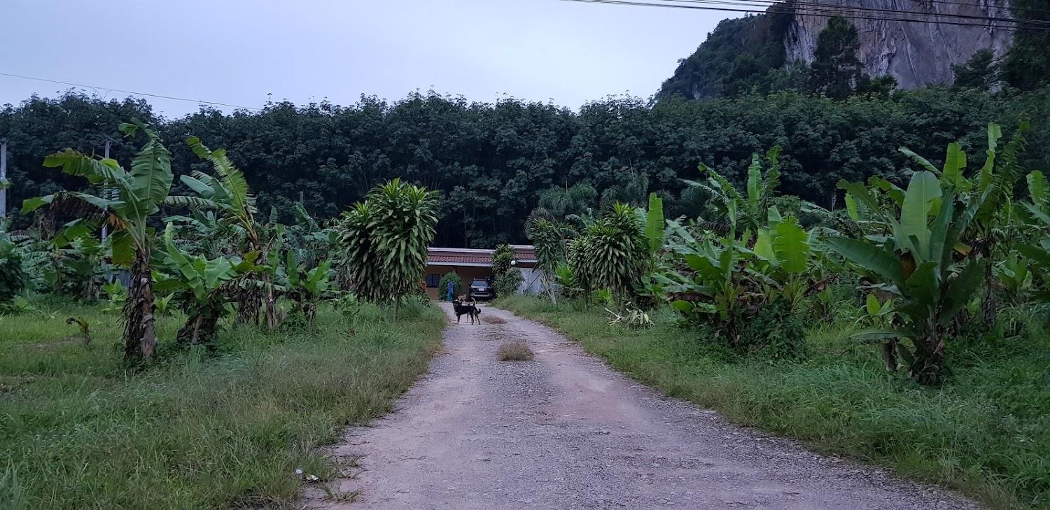 Cover Image for Rimkhao Resort