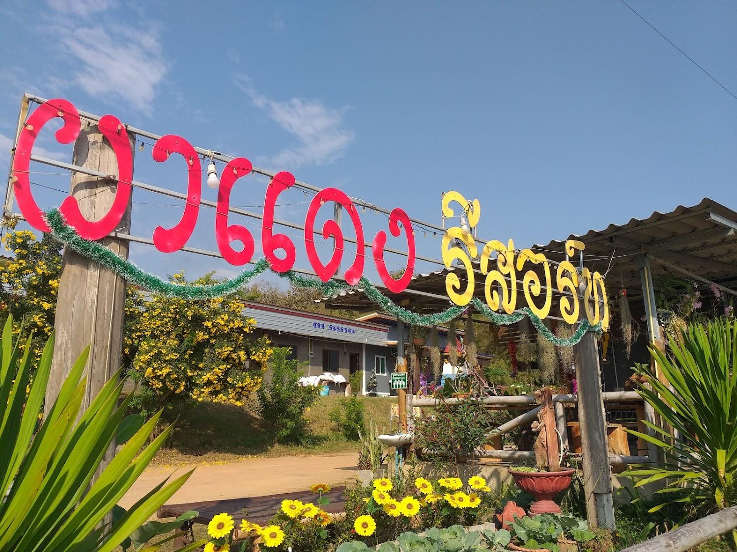 Cover Image for ผาแดงรีสอร์ท