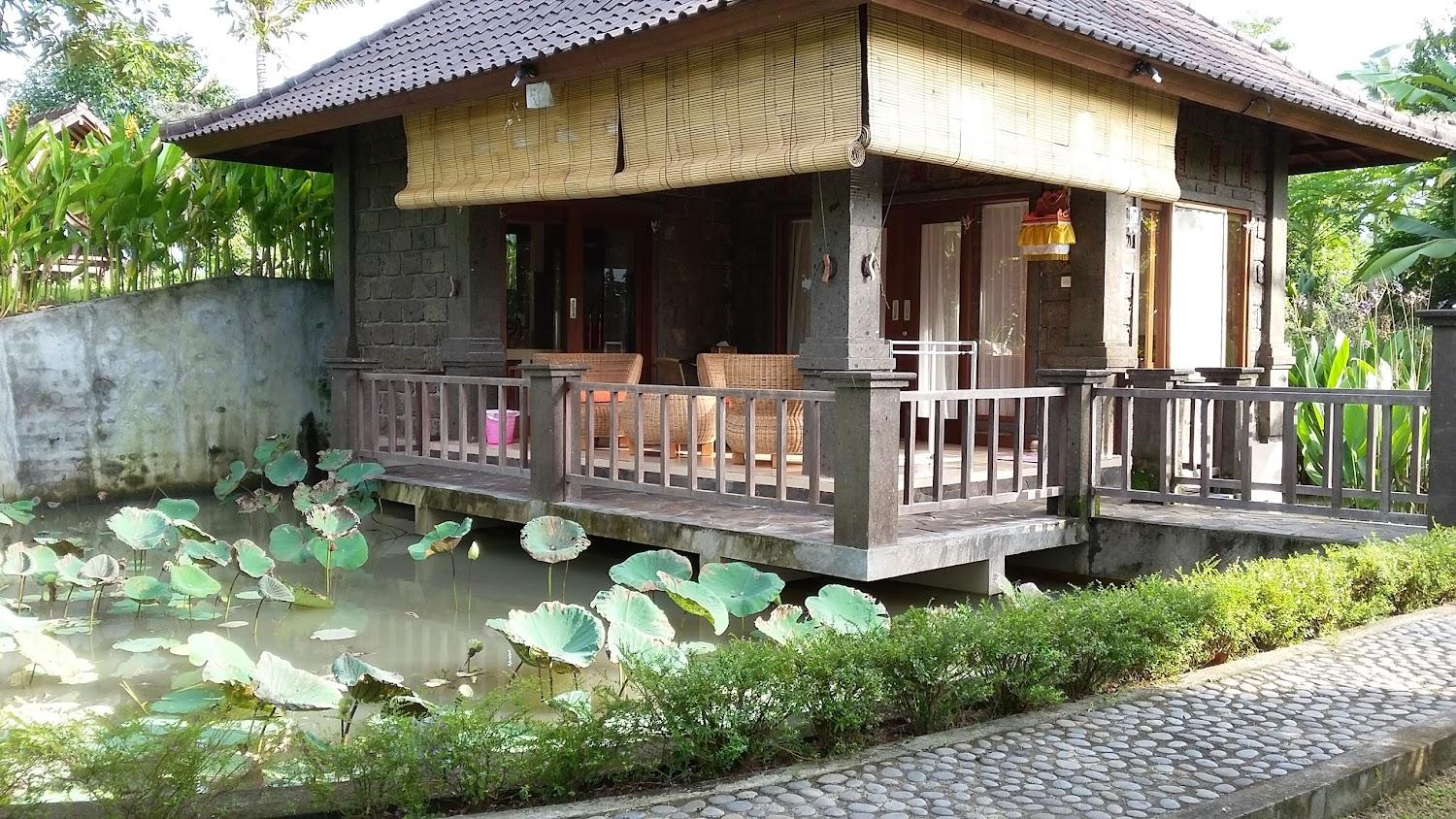 Cover Image for Natural Lodge