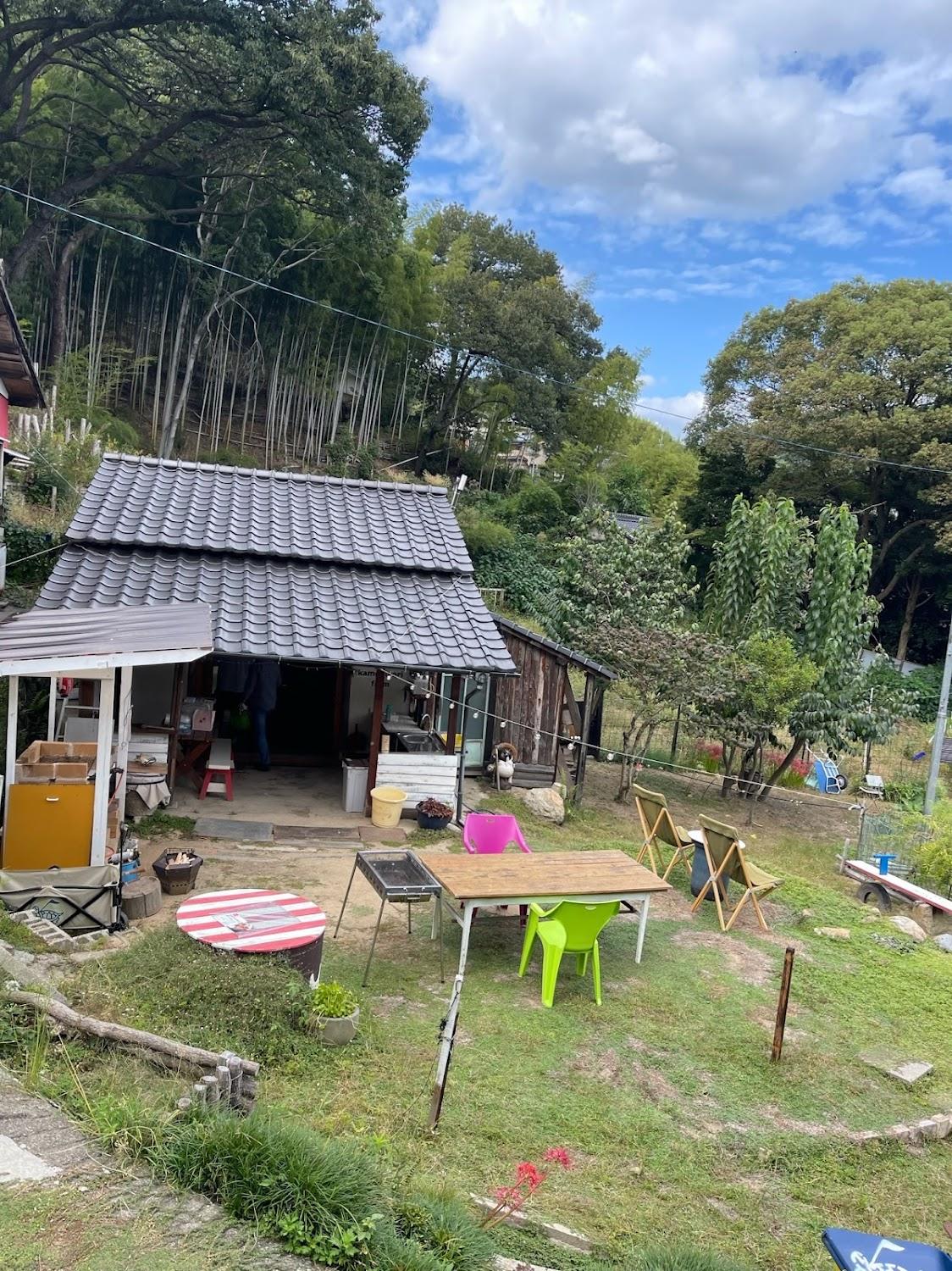 Cover Image for 亀日和