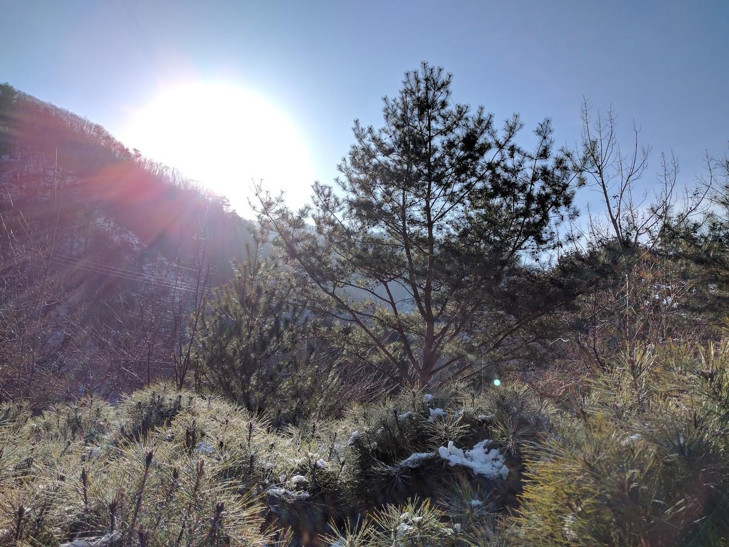 Cover Image for 슈에뜨펜션