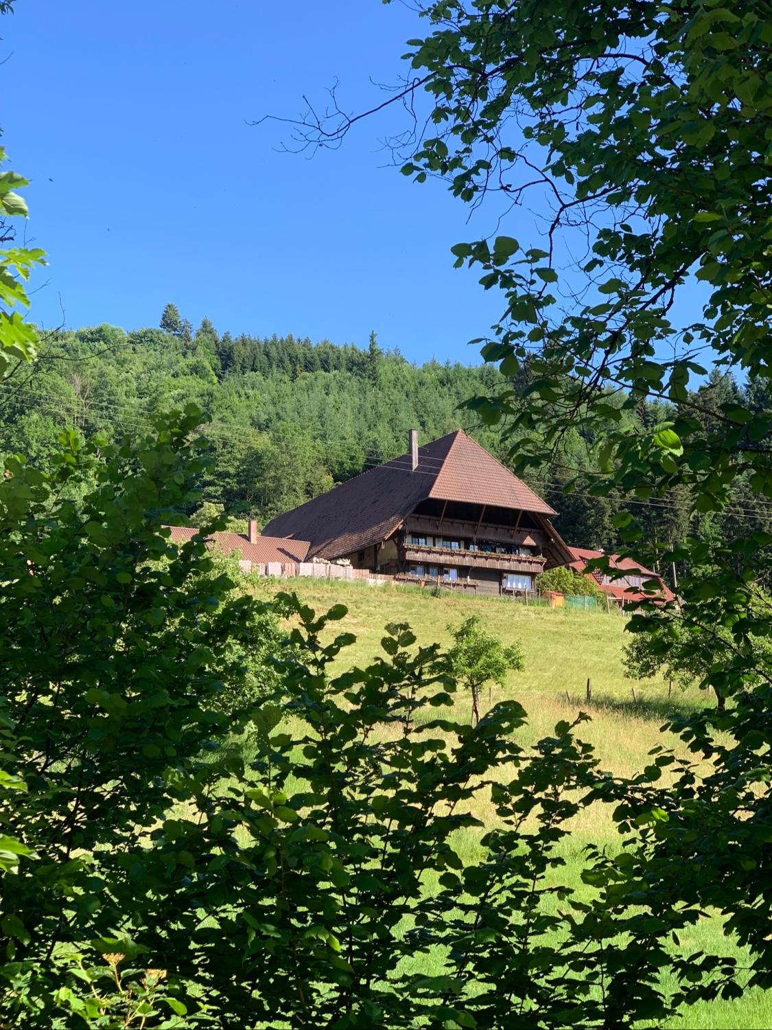 Cover Image for Gmeiner Ferienwohnung - Petra Gmeiner