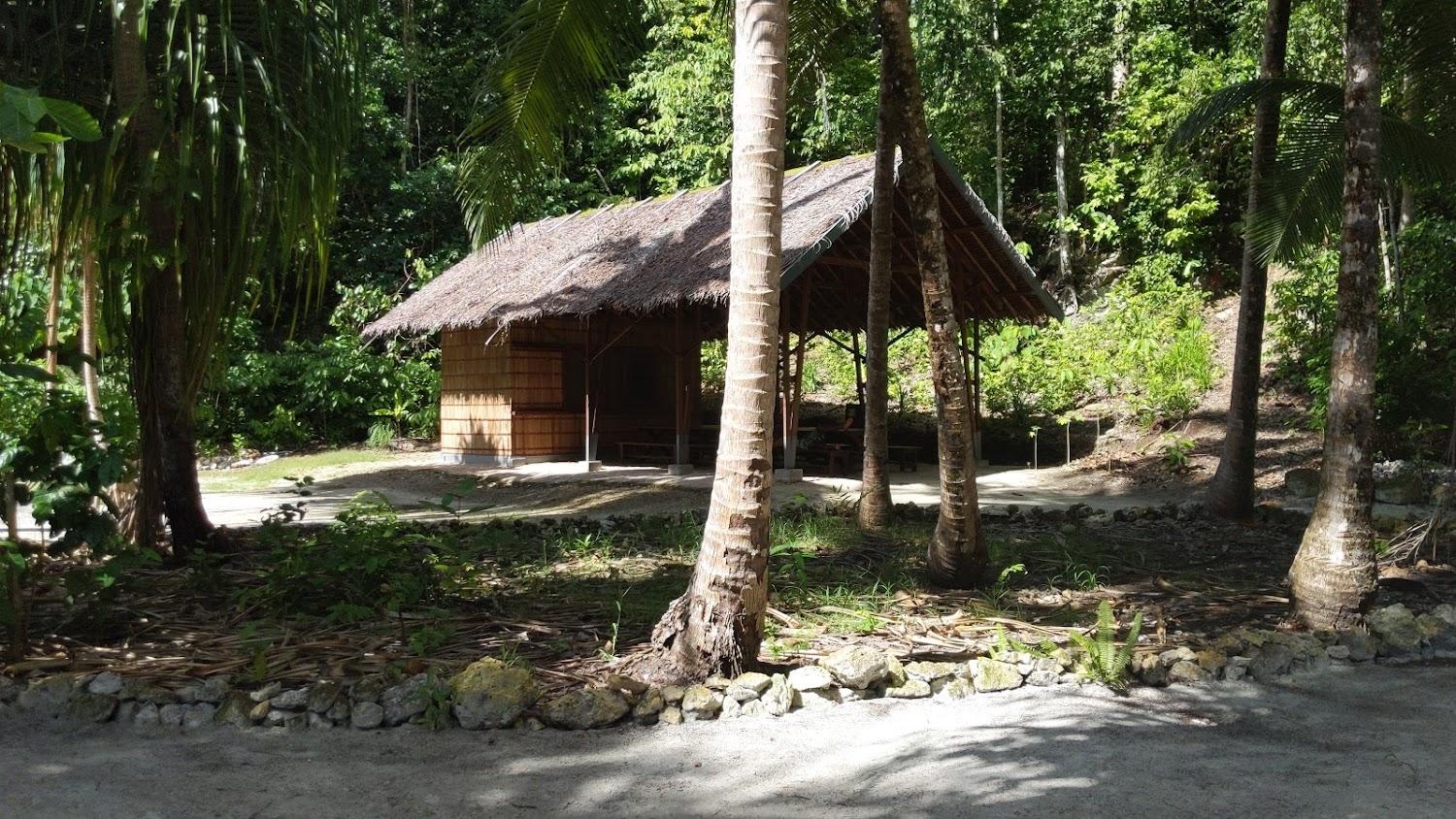 Cover Image for Kri Eco Resort - Papua Diving
