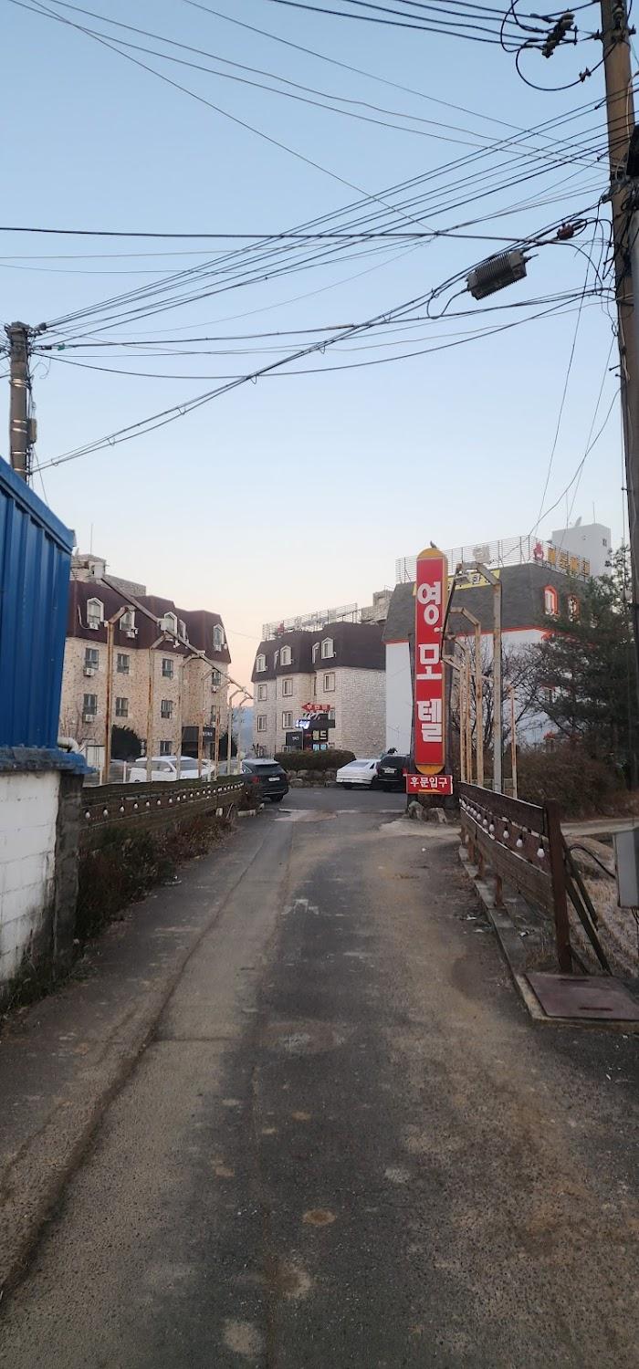 Cover Image for 영파크