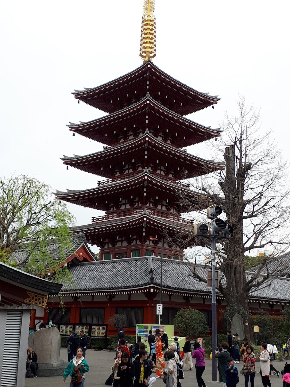 Cover Image for Red Roof Inn Kamata