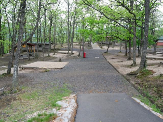 Cover Image for Notorobara Camping Ground