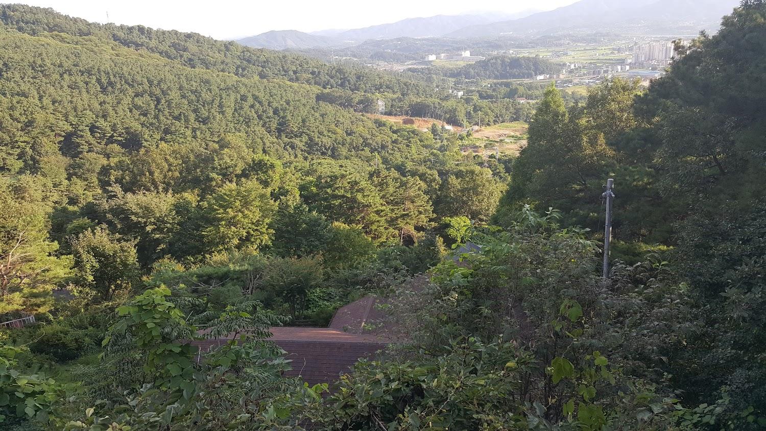 Cover Image for 캐시미어힐펜션