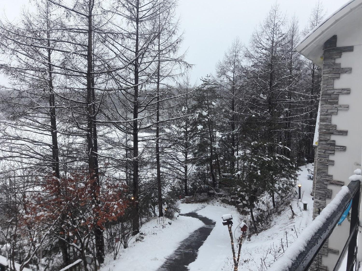 Cover Image for 봉평프로방스 펜션