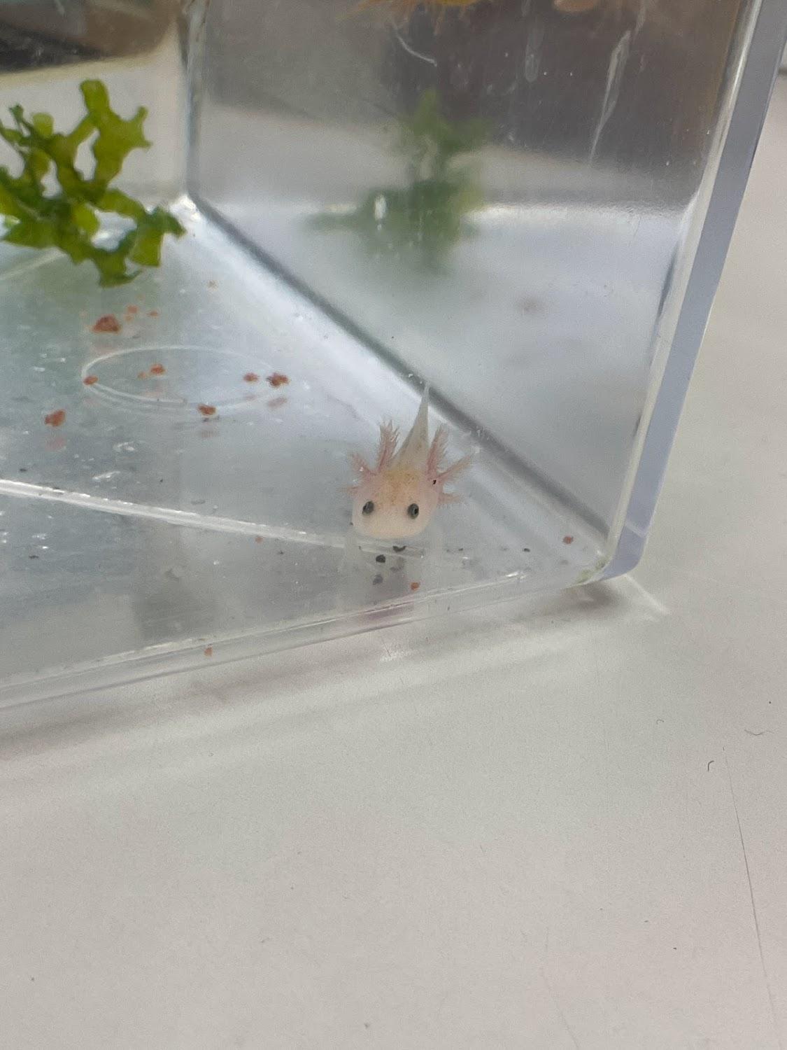 Cover Image for みのわ温泉 ながた荘