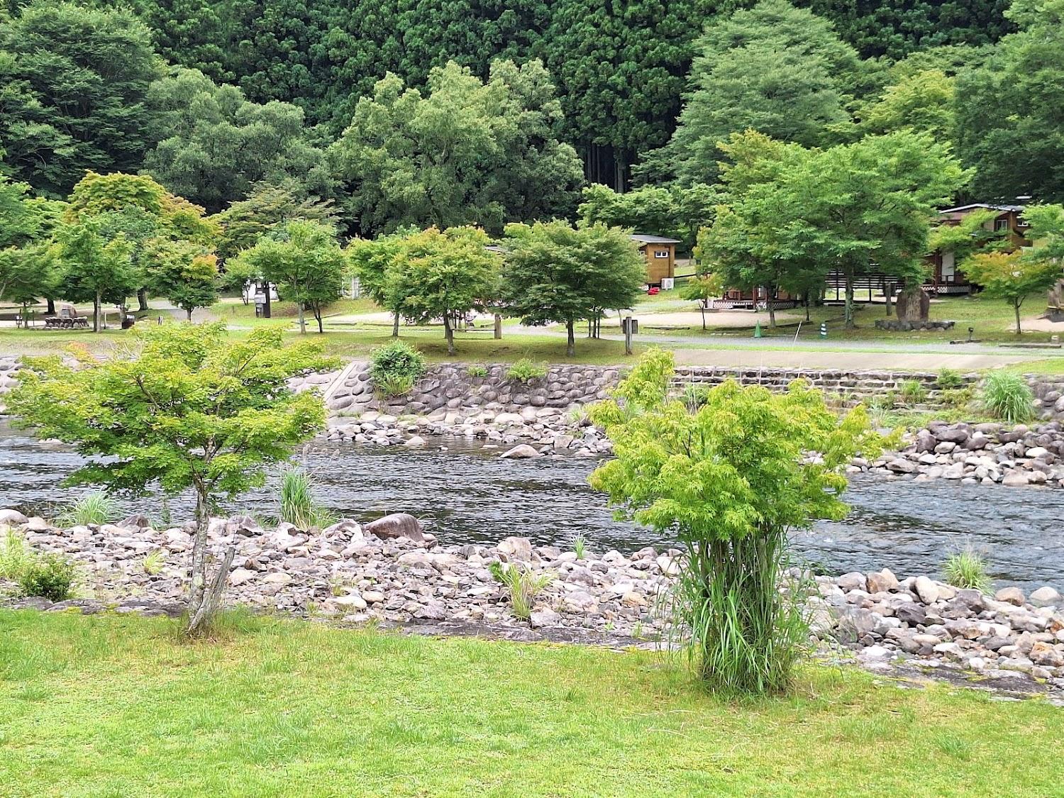 Cover Image for Kamoshikasou